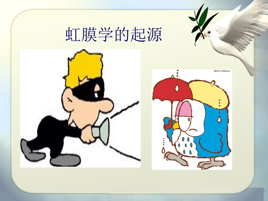 虹膜与健康教学版.ppt_第3页