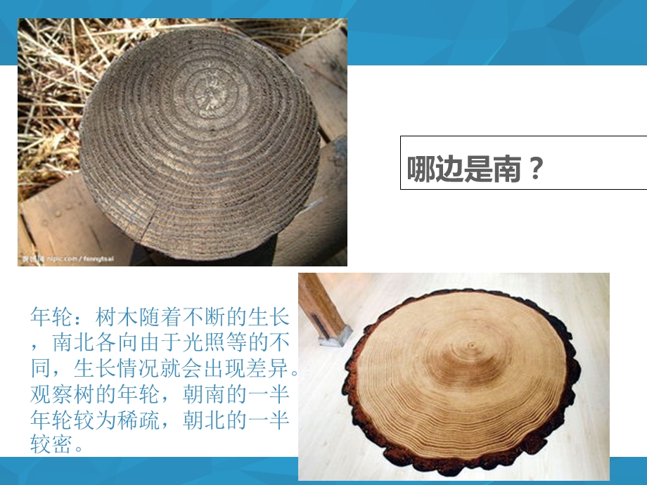 辨别方向的探究活.ppt_第2页