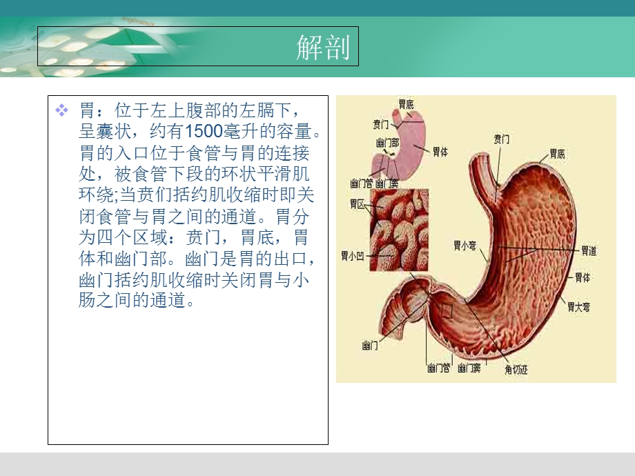 腹腔镜胃癌根治术的手术配合.ppt_第3页