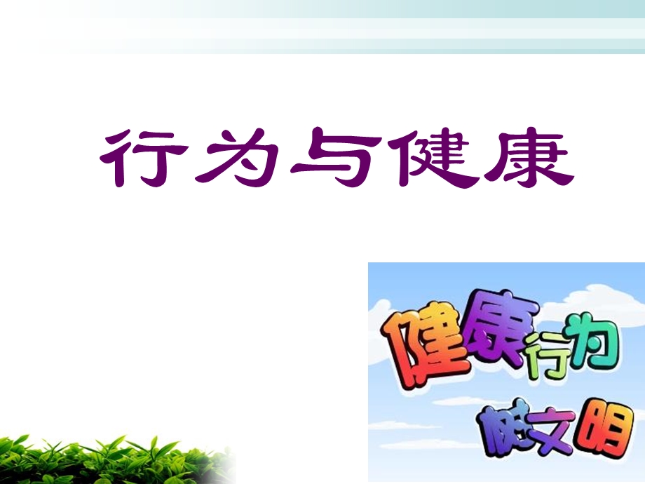 行为、社会因素与健康.ppt_第2页