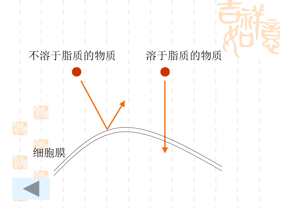 高一生物物质跨膜运输的方式.ppt_第2页