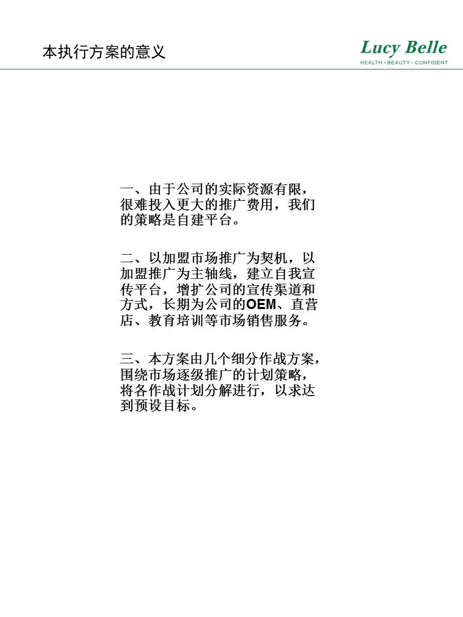 美容加盟营销执行方案.ppt_第2页