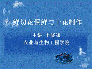 鲜切花保鲜于干花制作.ppt