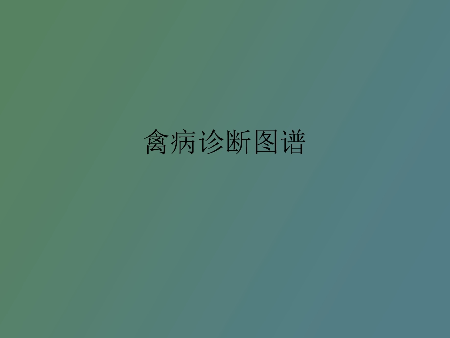 禽病诊断图谱.ppt_第1页