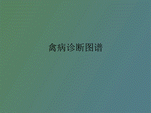 禽病诊断图谱.ppt