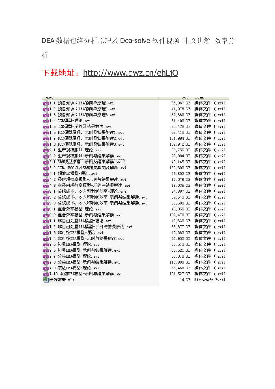 DEA数据包络分析原理及Deasolve软件视频中文讲解效率分析.doc_第1页