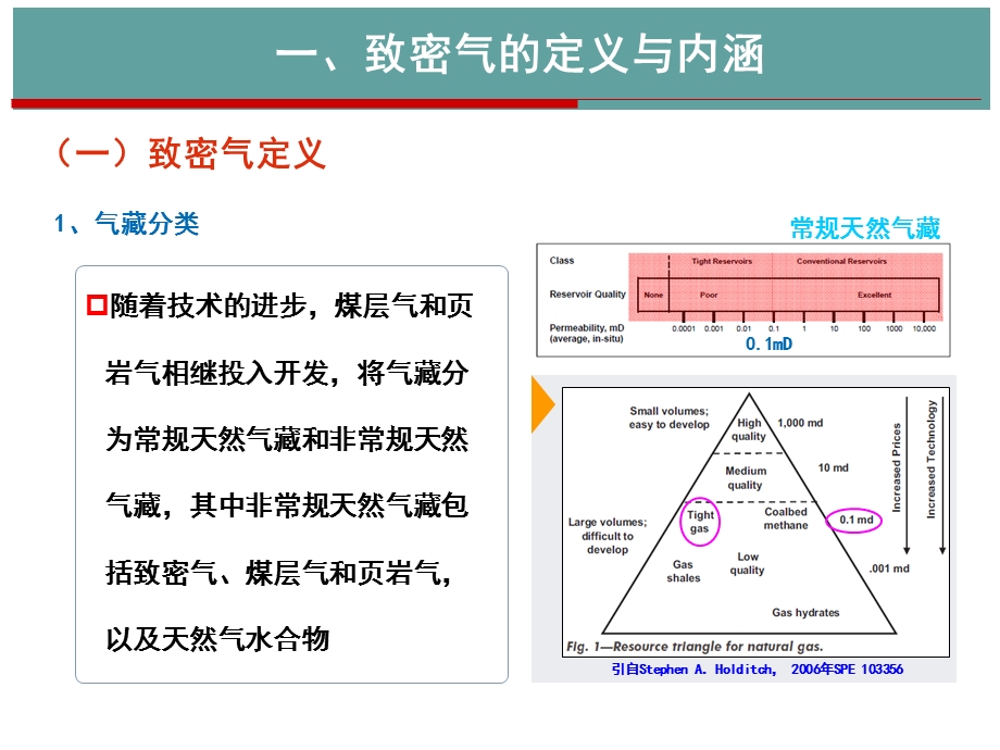 致密砂岩气地质特征与开发关键技术(院选).ppt_第3页