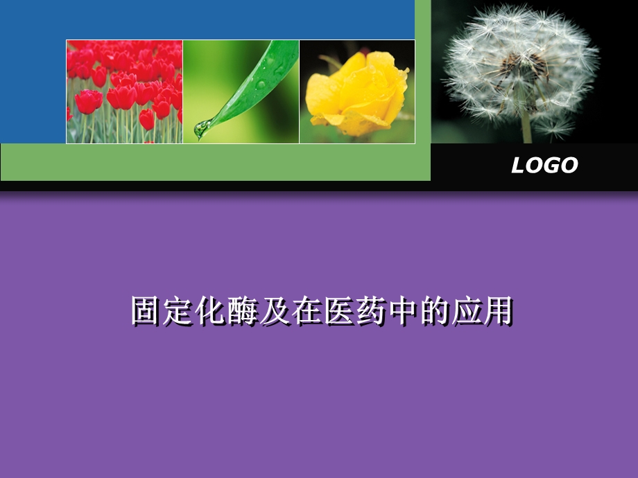 酶的固定化及在医药.ppt_第1页