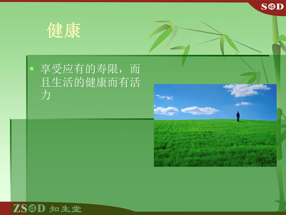 SOD产品理论基础.ppt_第3页