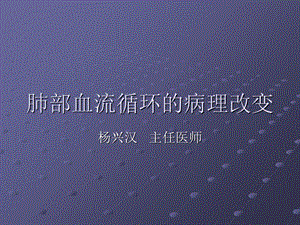 肺部血流循环的病理改变.ppt