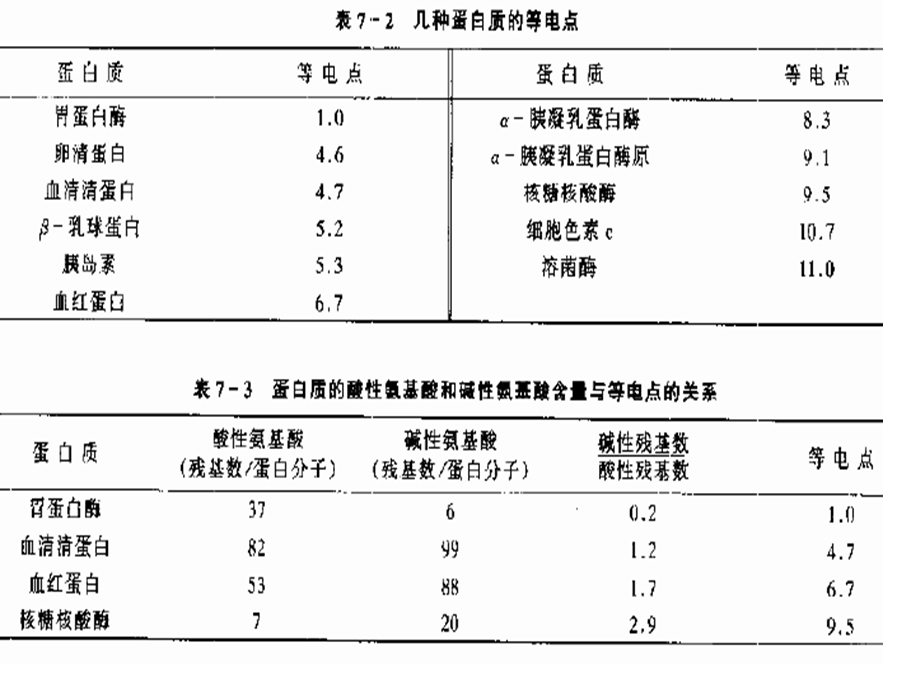 蛋白质分离提纯.ppt_第3页