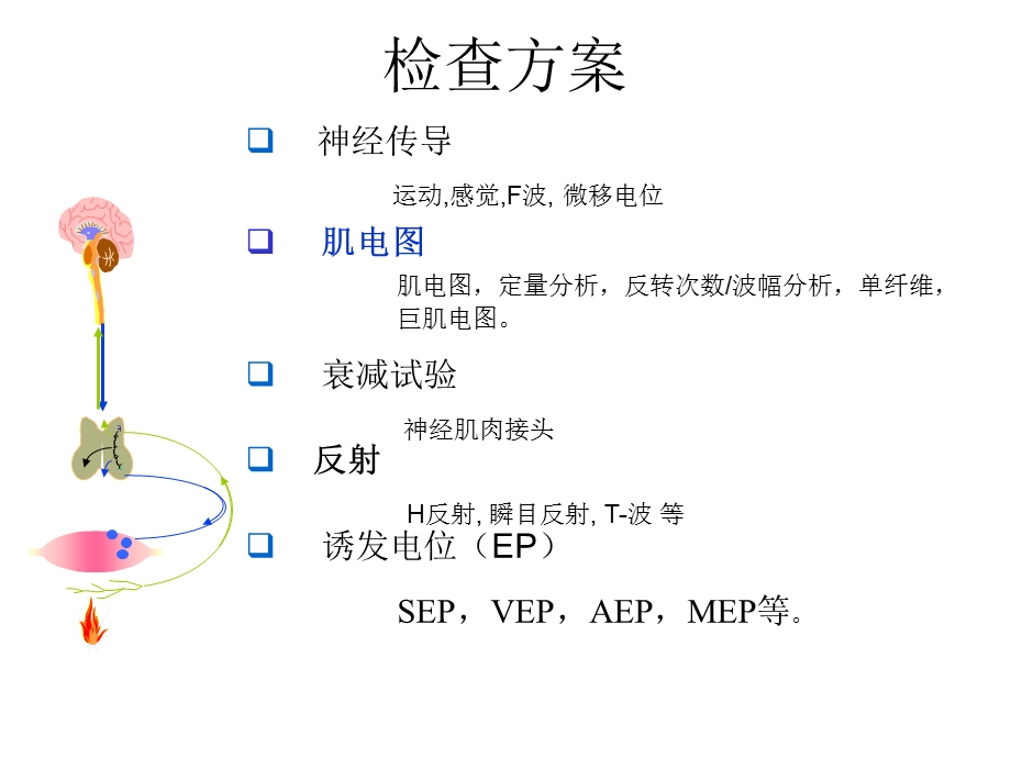 肌电图基本操作.ppt_第3页