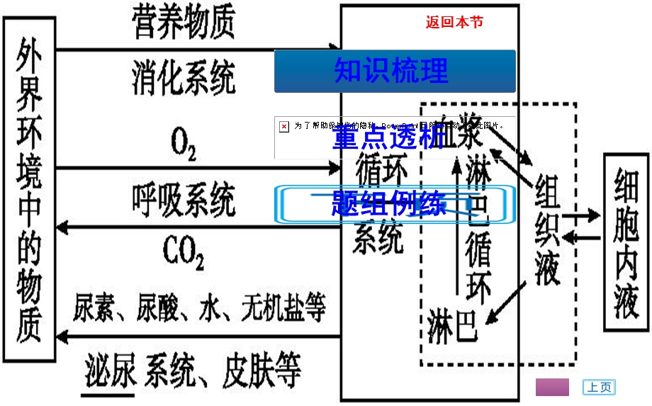 考点二内环境的理化性质、稳态及其调节.ppt_第2页