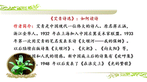 艾青诗选(共48张PPT).ppt