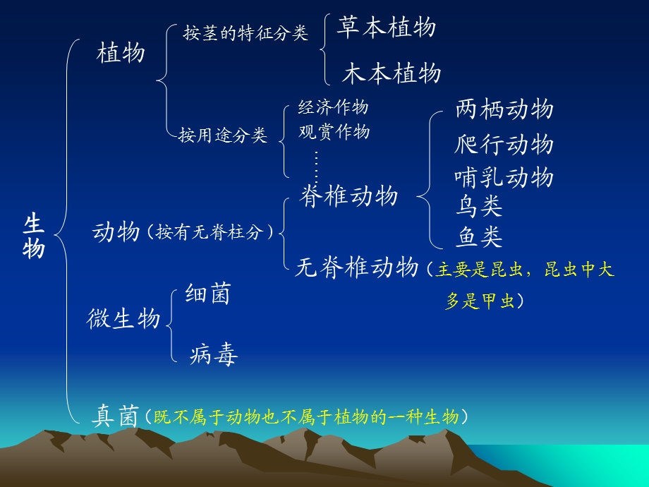 科学丰富多彩的生命世界整理复习.ppt_第1页