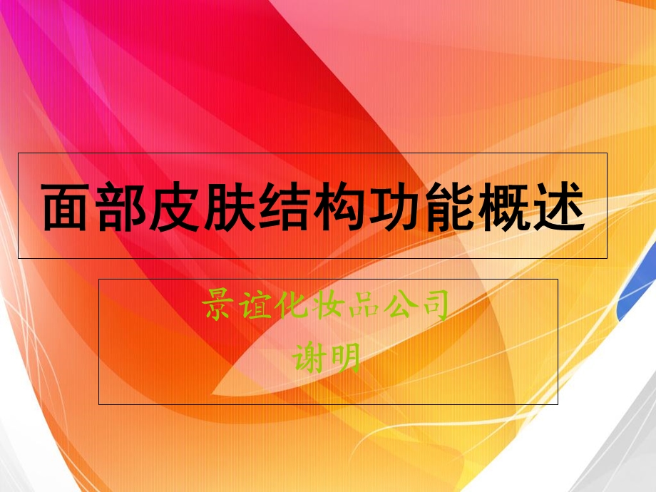 面部皮肤结构功能概述.ppt_第1页