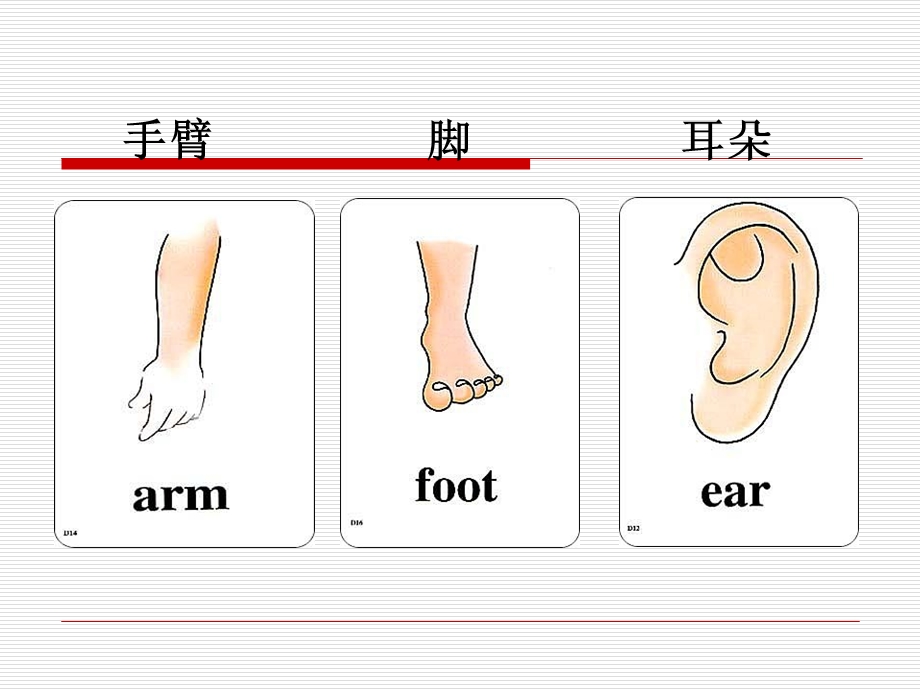 身体部位单词图片.ppt_第1页