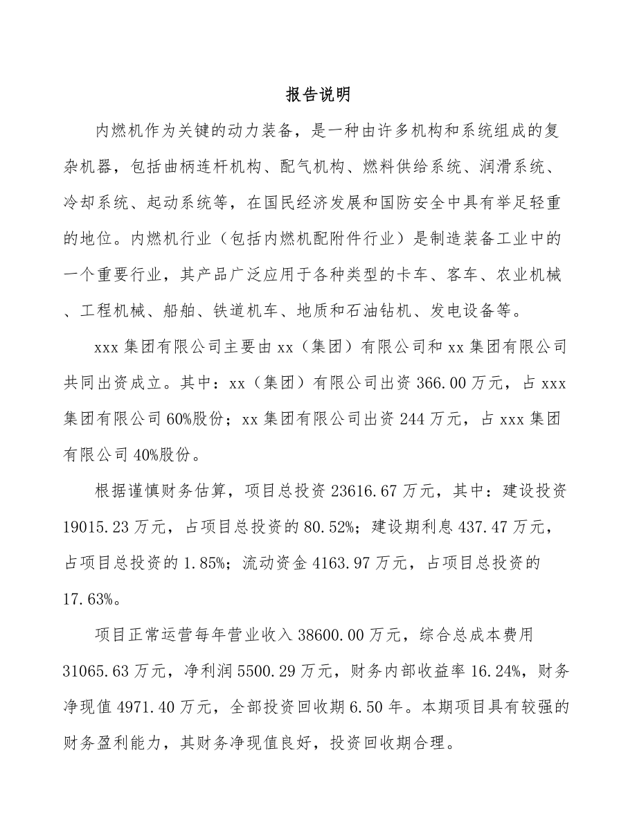 巫山关于成立起动电机公司可行性研究报告范文参考.docx_第2页