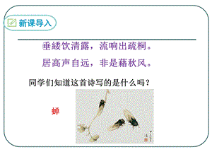 蝉(法布尔)PPT.ppt