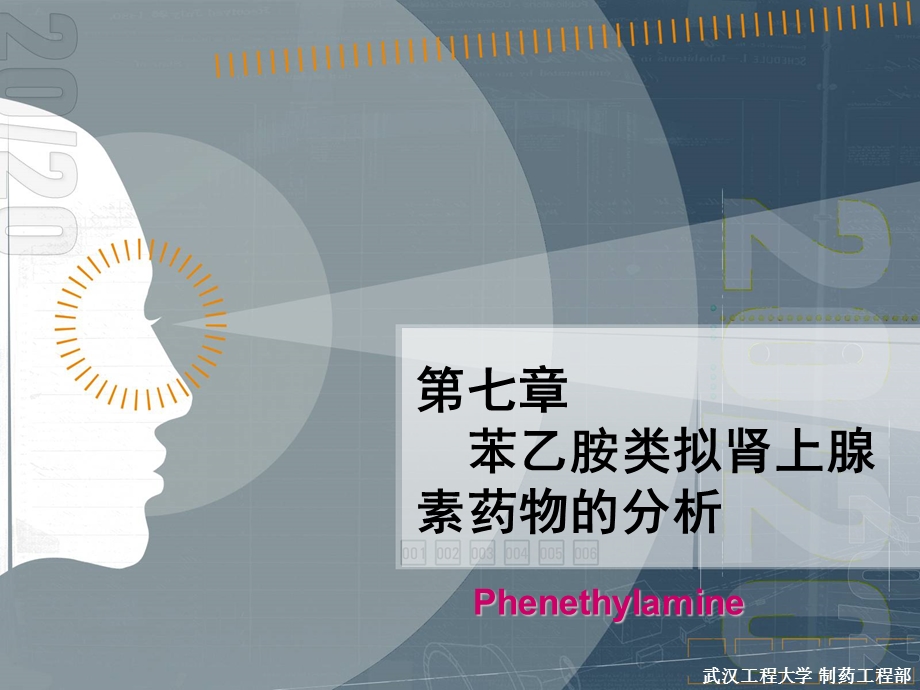 苯乙胺类拟肾上腺素药物的分析.ppt_第1页