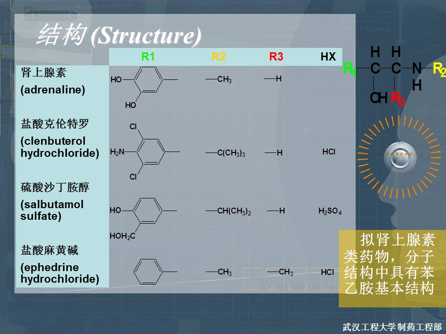 苯乙胺类拟肾上腺素药物的分析.ppt_第3页