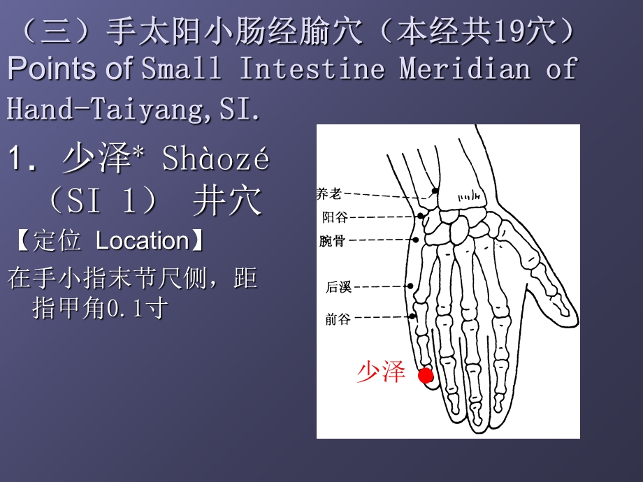 经络学手太阳小肠经.ppt_第2页