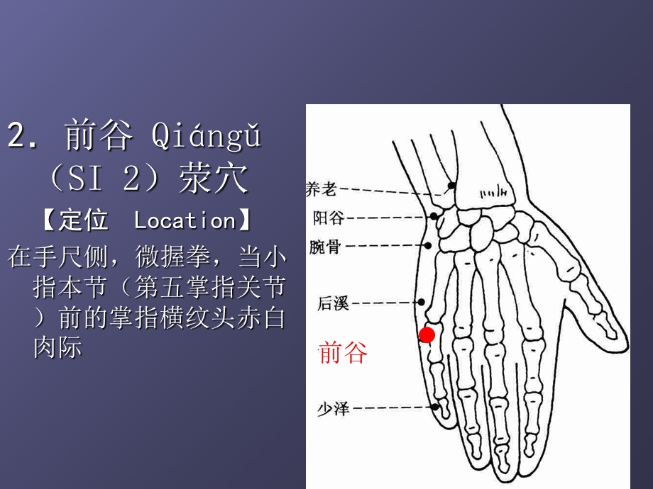 经络学手太阳小肠经.ppt_第3页