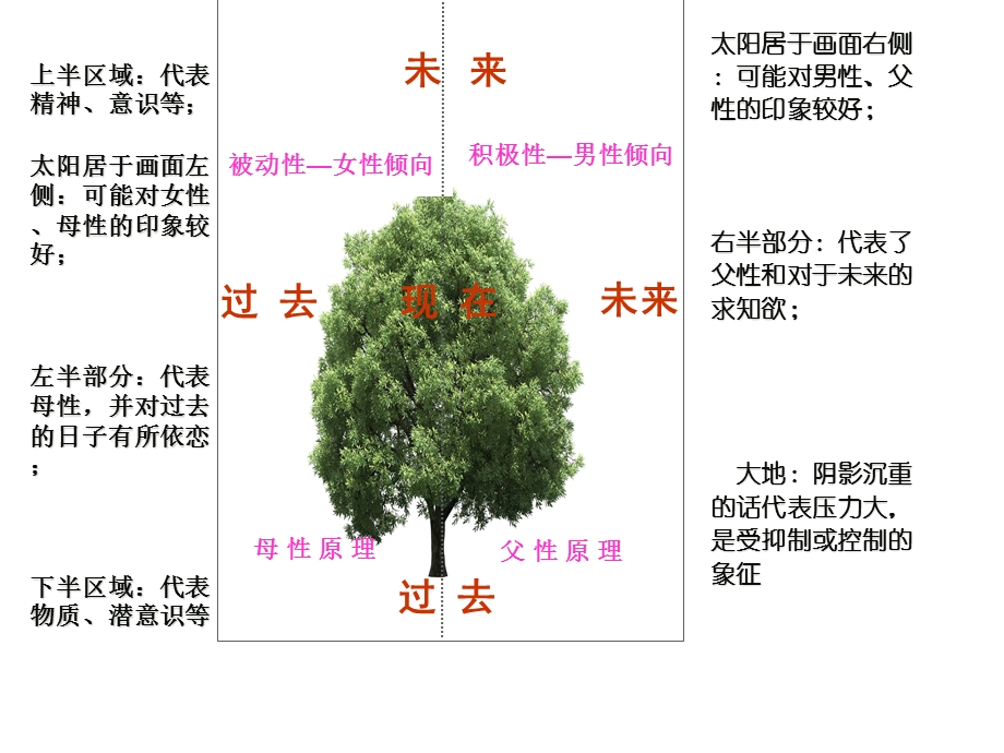 绘画人格树的一般寓意分析.ppt_第2页