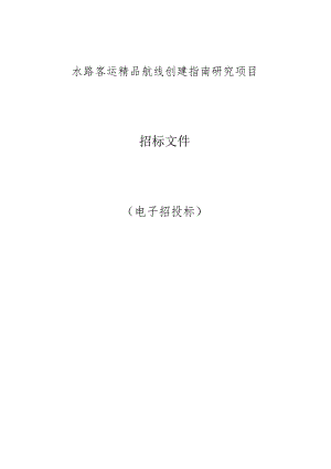 水路客运精品航线创建指南研究项目招标文件.docx