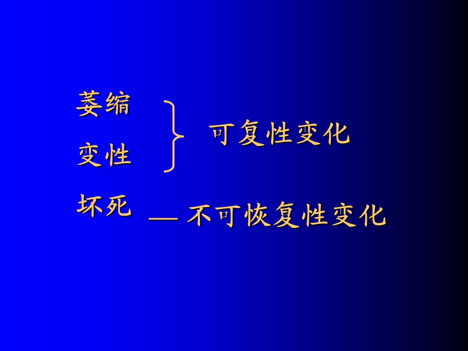 病理学组损大纲.ppt_第3页