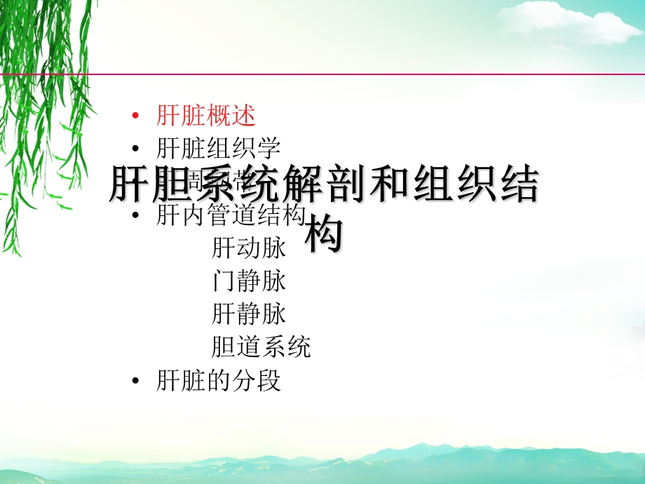 肝胆系统解剖和组织结构.ppt_第2页