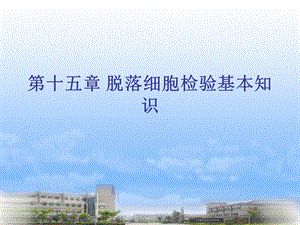 脱落细胞及针吸细胞学检查.ppt