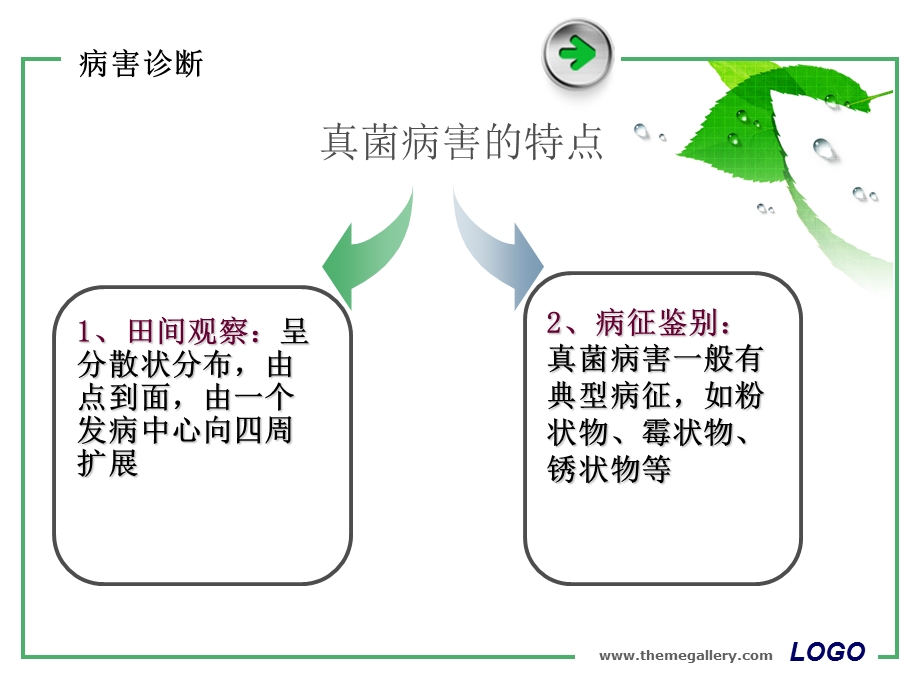 常见真菌病害的诊断ppt课件.ppt_第3页