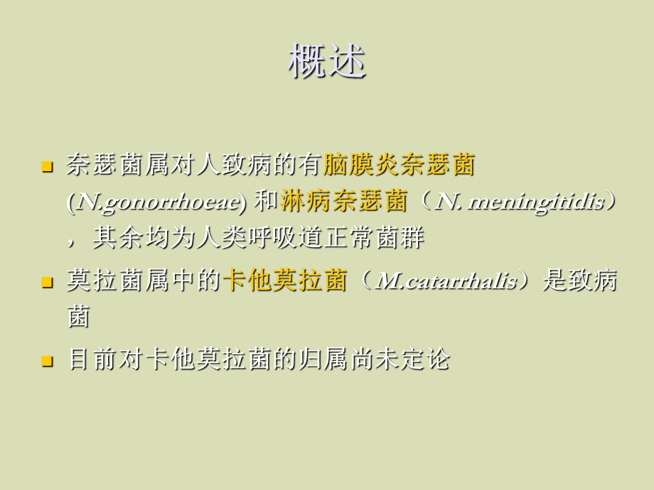 革兰阴性球菌.ppt_第2页