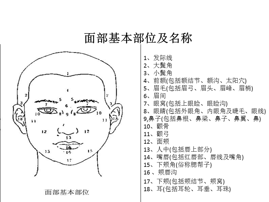 美容面部设计标准.ppt_第2页