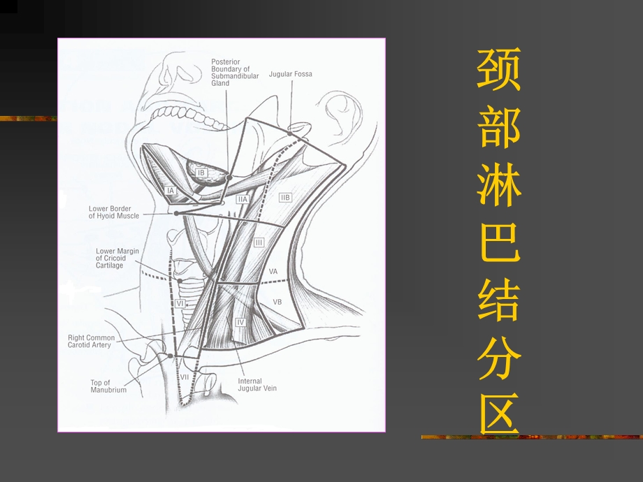 北京鼻咽癌的常规放疗指引ppt课件.ppt_第2页