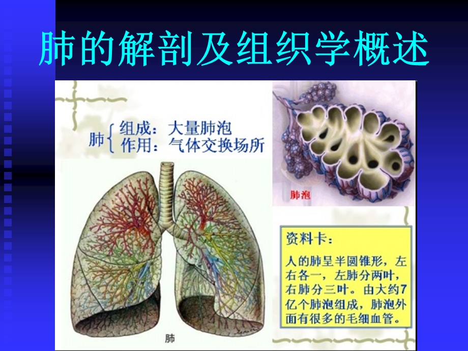 肺间质性疾病CT征象.ppt_第2页