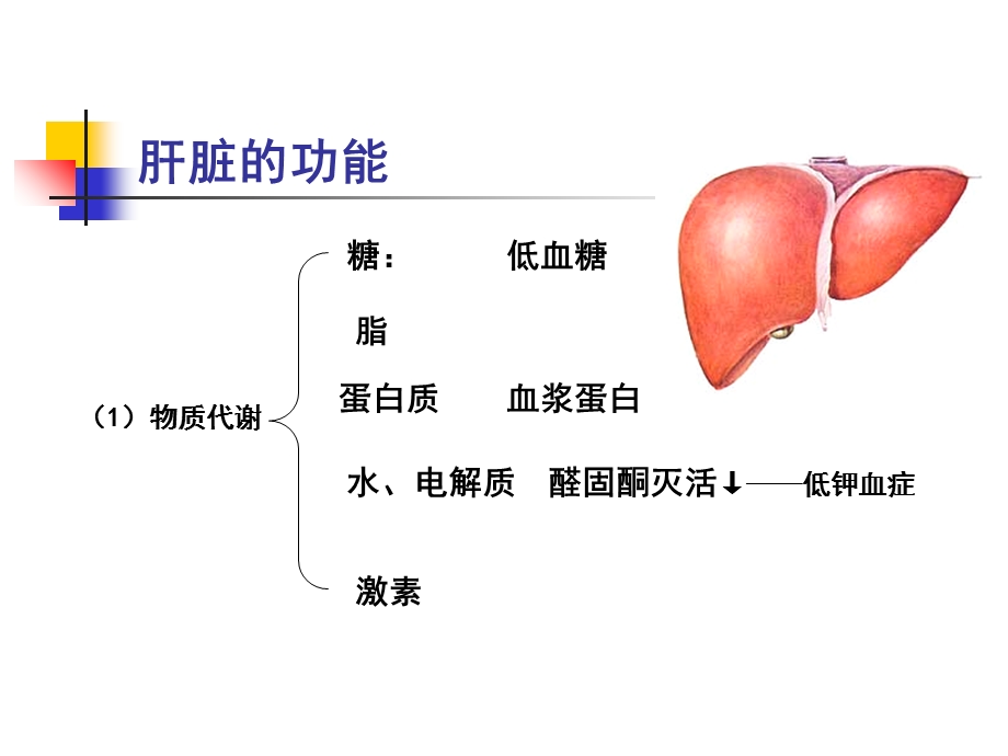 肝功能不全教学.ppt_第3页