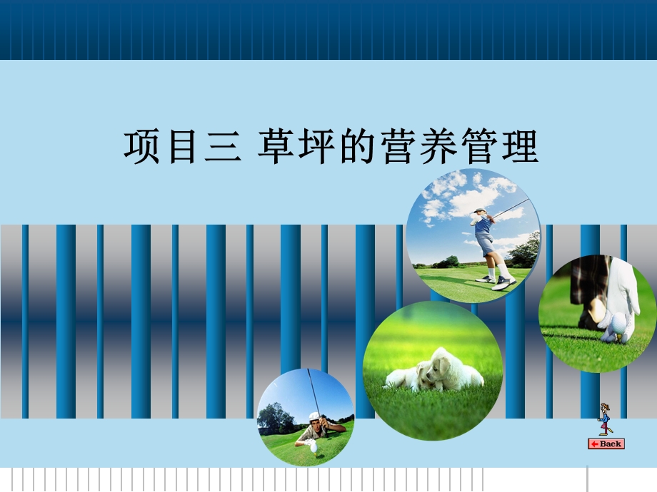 草坪的营养管理.ppt_第1页