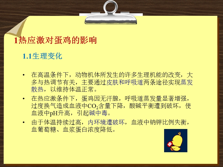 蛋鸡热应激及其营养调.ppt_第3页