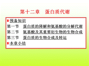 蛋白质代谢教学.ppt