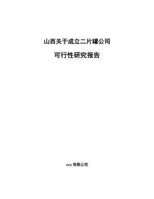 山西关于成立二片罐公司可行性研究报告.docx