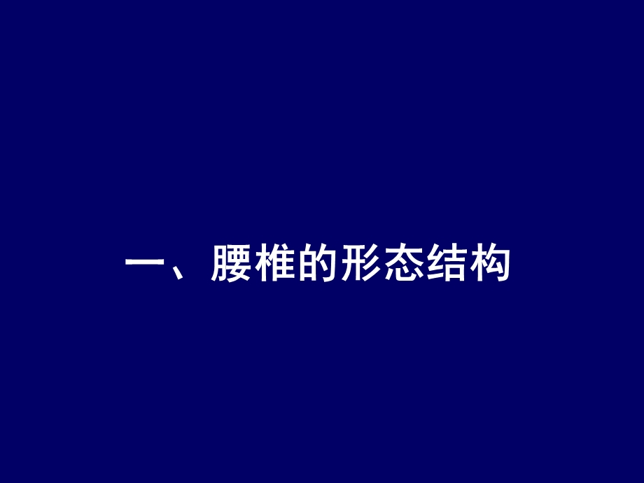 脊柱腰段的相关解剖.ppt_第2页