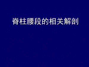 脊柱腰段的相关解剖.ppt