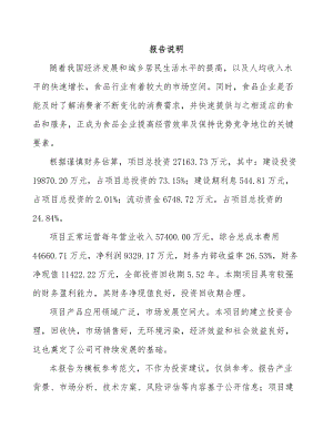 山西年产xxx吨休闲食品项目运营计划书.docx