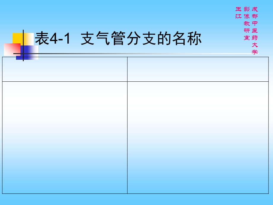 肺部CT解剖结构.ppt_第2页