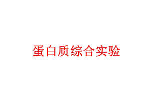 蛋白质综合实验.ppt