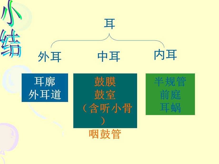 耳的结构与听觉.ppt_第3页