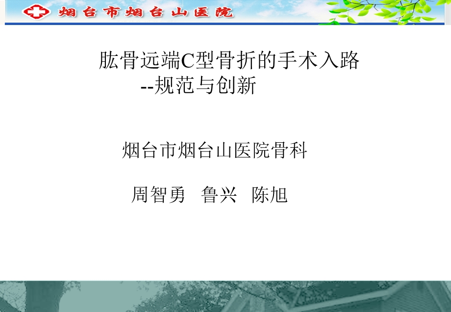 肱骨远端C型骨折的手术入路.ppt_第1页