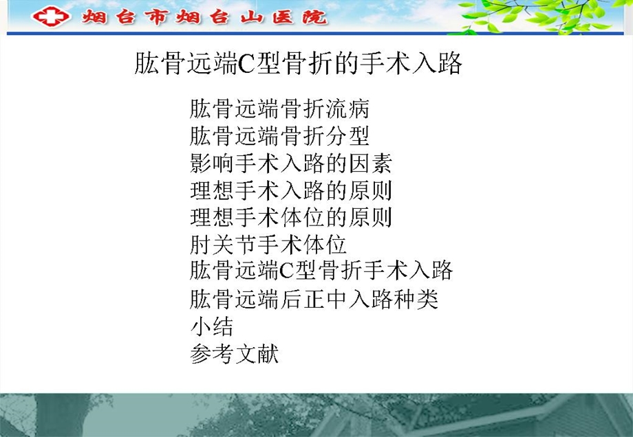 肱骨远端C型骨折的手术入路.ppt_第2页